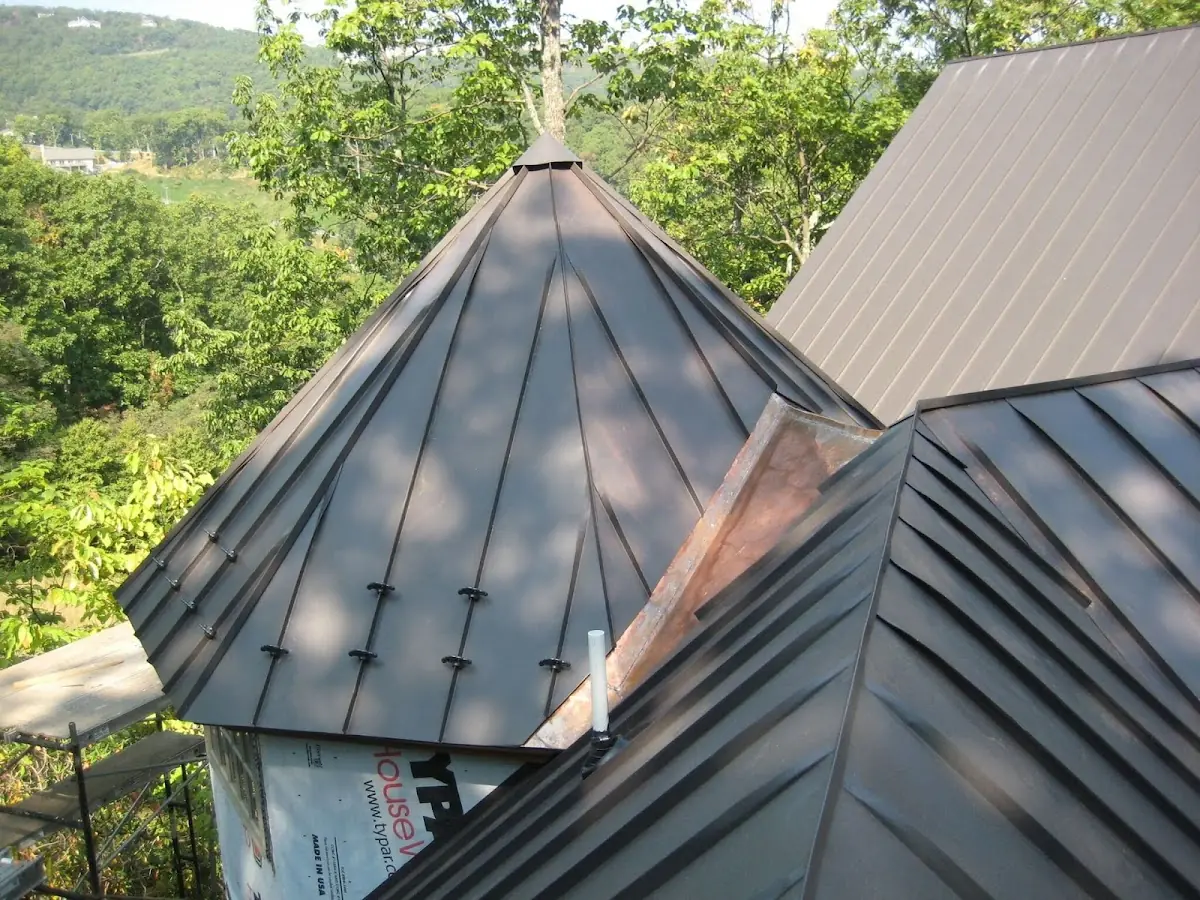 Professional Gutter Cleaning by Craftsman Roofing in Tiger Lily